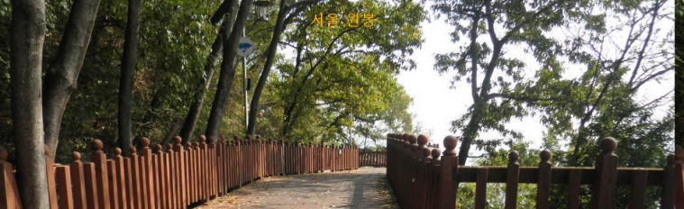 이미지 247.jpg