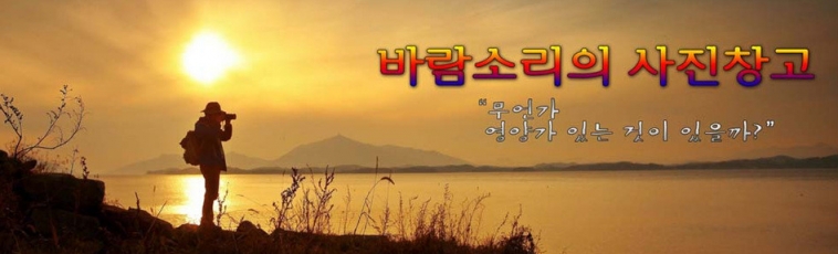 이미지 228.jpg
