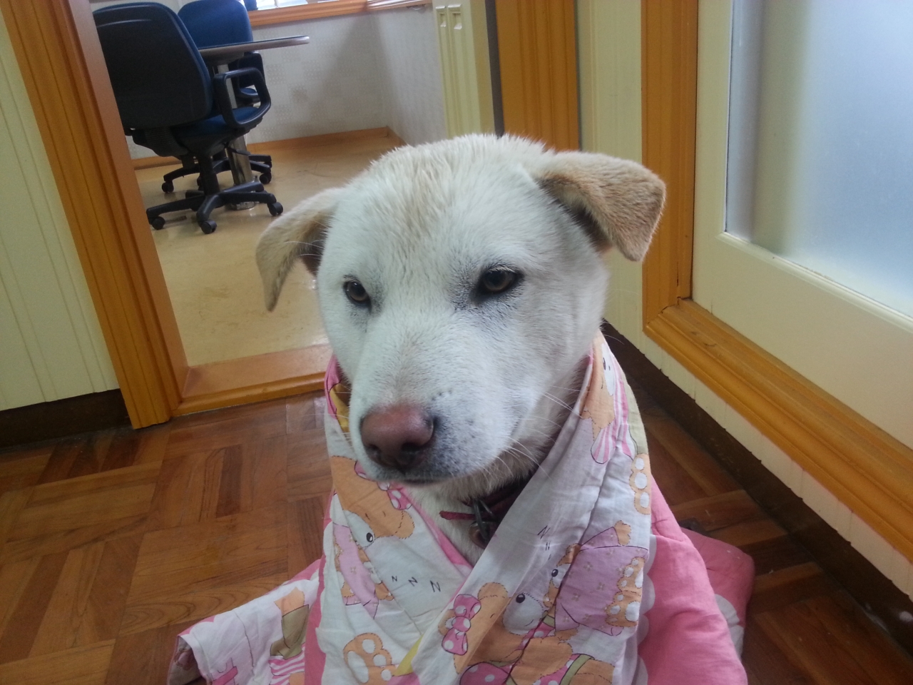 20130121_125212.jpg