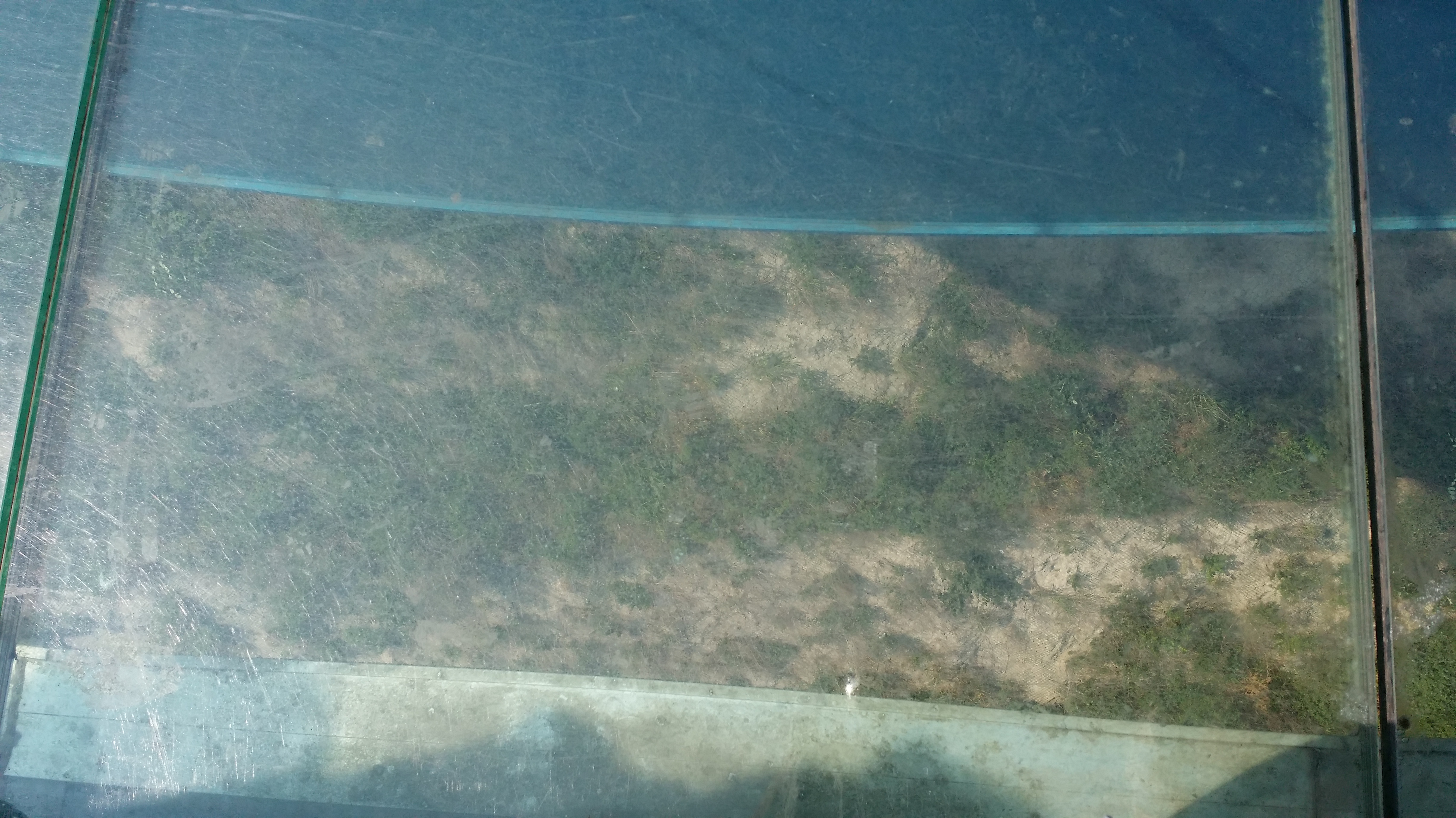 20140707_153315.jpg